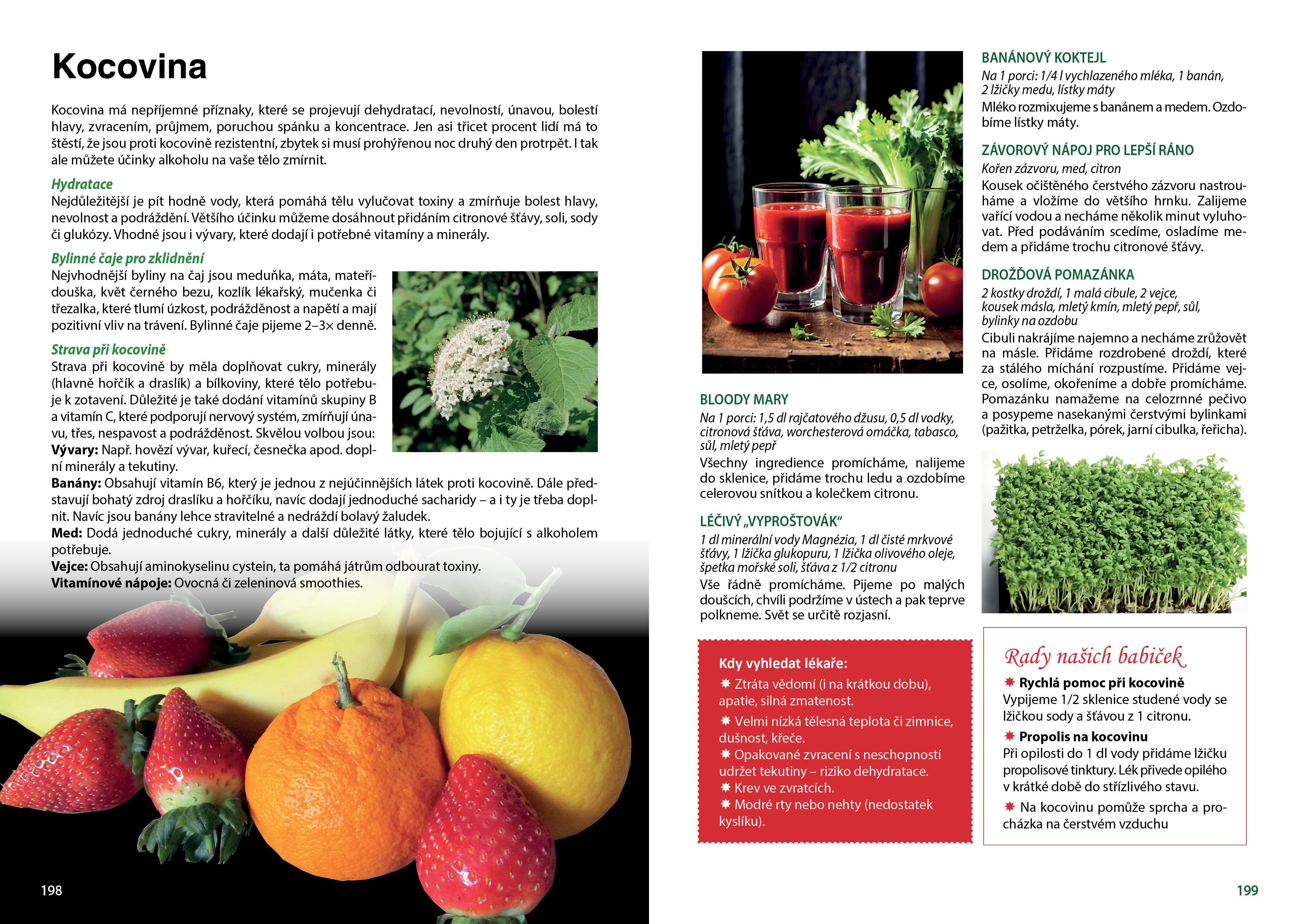 Domácí léčebné prostředkyUkázkaKocovina